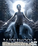7797_wolfmoon_jar.zip
