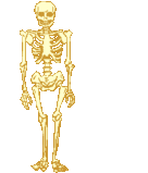 hai.gif