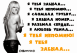 я тебя забыла.gif