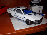 P1010007_Medium_.jpg