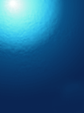 Screensaver.gif