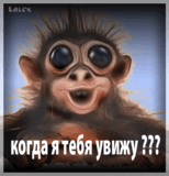 16k.gif