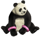 PANDA.jpg