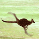00040.gif