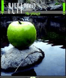 Green_Apple.zip