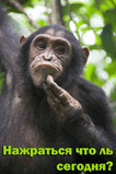 Нажраться что ли?.jpg