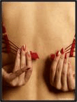 ID 531993 .jpg