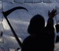 6.gif