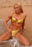 995_13_1.jpg