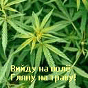 Img10C4.jpg