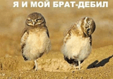 1194451994_brat.jpg