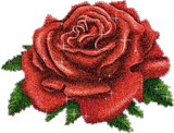4c5b8f986382f15f91973cdd776a138c.gif