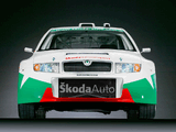 skoda_Fabia_WRC_6.jpg