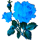 Голубая_роза_75432.gif