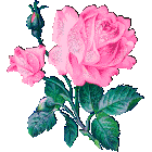 Roze_roz.gif