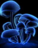 Pic_035.jpeg