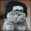 210851313146e18849c7178.gif