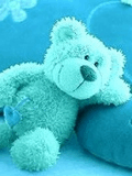 blue_teddy.jpg