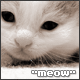 meow005.gif
