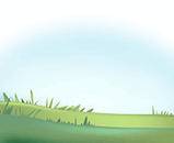 Grass.jpg