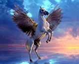 Horse.jpg