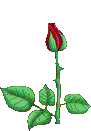 0768637bf8fbd469af9162175700ee05.gif