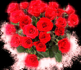 roses.jpg