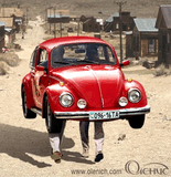 14022001135058Old_beetle_1_.jpeg