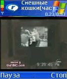 РЎРјРµС€РЅС‹Рµ РєРѕС€РєРё 2_.3gp