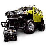 Hummer_w.jpg