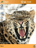 Irbis.zip