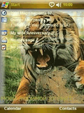 tiger_frenzied_by_lex226