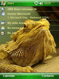 lizard_by_lex226