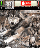 wolf.zip