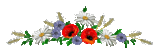 5840691dd9eee82a4330cfa7a990c97f.gif