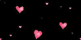 small_bc1_2_gif.jpg