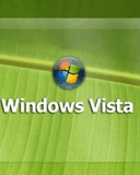 Vista.jpg
