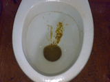DSCOO970.jpg