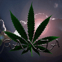 ganja23.gif