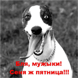 ziza_016.jpg