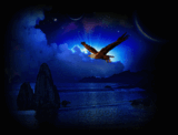 3d912077a54e.gif