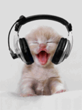 Animation_56.gif