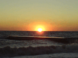 DSC00589.jpg