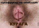 Курага.jpg