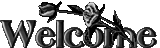 2ee5b11c2516a807fc3d2da4edc89.gif