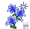 m08150.gif