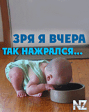 Zria_yia tak.gif