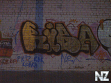 DSC01623.jpg