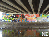 DSC01846.jpg