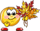 b02042.gif